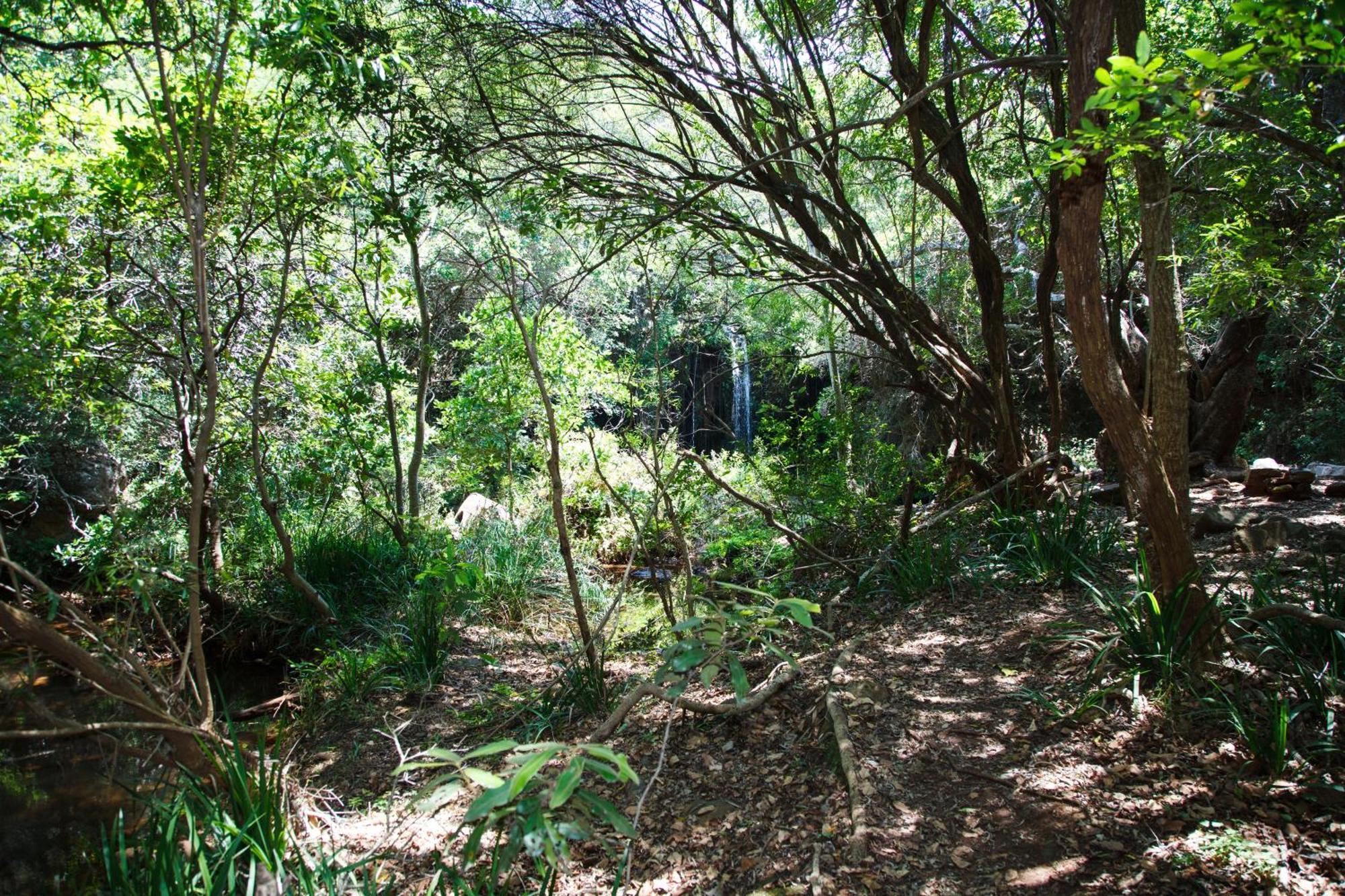 Blyde Canyon, A Forever Resort Matibidi Exterior foto